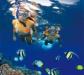 Maui Snorkeling Tours